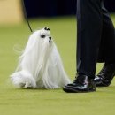 LINEUP 1989 이미지