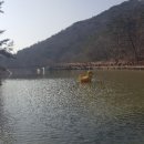 기장도예관광힐링촌 테마숲 이미지