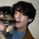 V-S 이미지