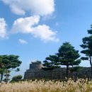 수원시 팔달구 창룡대로26번길 이미지