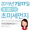 2019년 7월17일(수요일) 오전8:00 기준 부산전지역 초미세먼지 및 일일/주간 날씨정보 이미지