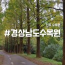 이오사 - 용산구 | 경상남도수목원에서 소풍 즐긴후기 진주수목원 피크닉 전동차 입장료 도시락