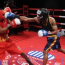 스타복싱 총본관 이미지