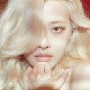 여왕컬렉션