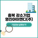 영진아이엔디(주)