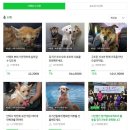 고마운 우리 아가들 - 뽀또, 코코, 모모, 포포, 오공이, 만복이, 제제 &amp; 팅커벨 회원님들. 이미지