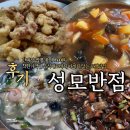 성모반점 이미지