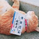 인성