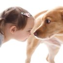 개는 왜 인간에 친화적인 것일까?개의 친절과 유전자의 관계(6번 염색체 변이) 이미지