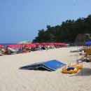 송지호 해수욕장 이미지