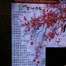 한옥감나무집 이미지