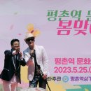 평촌역 Daum카페