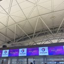460 | [오아후 하와이안 항공] 국제선 HA460, HA459 탑승 솔직 후기 (인천공항 1터미널, 스타링크 와이파이)
