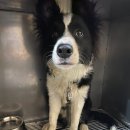 둔촌대로 이미지