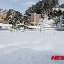 울릉초등학교 이미지