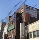 어반주짓수방배 티스토리