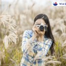 멋쟁이세탁 이미지