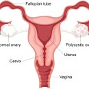 아워스한의원 이미지