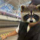 075-2 | B787-10 프레스티지 스위트2.0 인천 밴쿠버 대한항공 KE075 후기