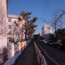서평초등학교병설유치원 | 대구 서평초등학교