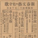 경성라이브