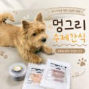 멍그리 네이버블로그