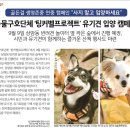 주식회사윤스 이미지