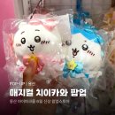 [용산] 매지컬 치이카와 팝업스토어 방문후기 | 굿즈 실물, 사전예약, 현장대기