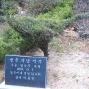 뿌리공원 이미지