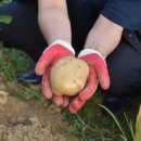 수미농장 이미지