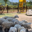 종우목장 이미지