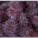 동희수산 이미지