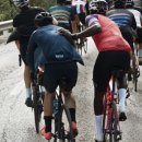 라파라이프 이미지