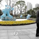 하이바오 이미지