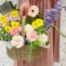 스노우폭스제주 이미지