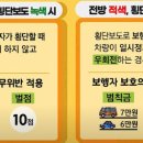 참다한홍삼 횡단보도 이미지