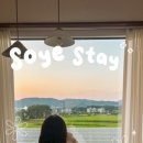 경주감성숙소소예스테이펜션