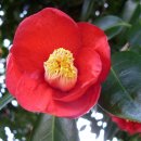 하은농원 이미지