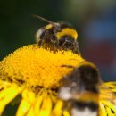 신선헬스 이미지