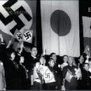 나치 이미지