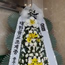 향운 이미지
