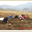 오늘 도깨비형님 댁 초석잠체험 오프모임 다녀왔습니다..(담금주병이 장난이 아닙니다..구경하세요...) 이미지