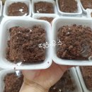 석전동211 이미지