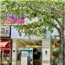 김가네진해석동점 이미지