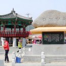 화개농원 이미지