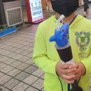 이모네와플 이미지