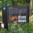 천천초교-3구간 | 2025 화담숲 예약 완벽 가이드! 단풍 절정시기 + 모노레일 꿀팁 총정리