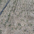 홍산농장 이미지