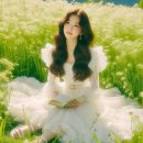스러운 Daum카페