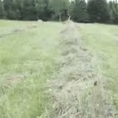 원문농장 이미지